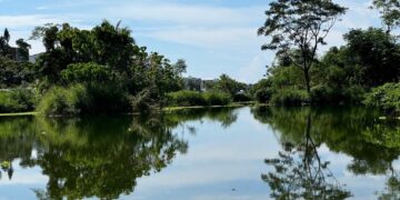 『濕地』具有分解污染物轉化為生物的養分、營造生物棲地的功能性