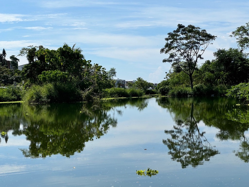 『濕地』具有分解污染物轉化為生物的養分、營造生物棲地的功能性