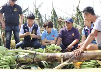 陳銘風市長和縣長饒慶鈴、立委黃建賓、議長吳秀華…等，前往受災農地，了解風災對農作物造成的損害