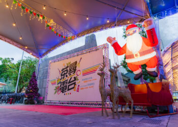 體驗茶鄉熱情 坪林《耶誕音樂派對週》假日熱鬧登場
