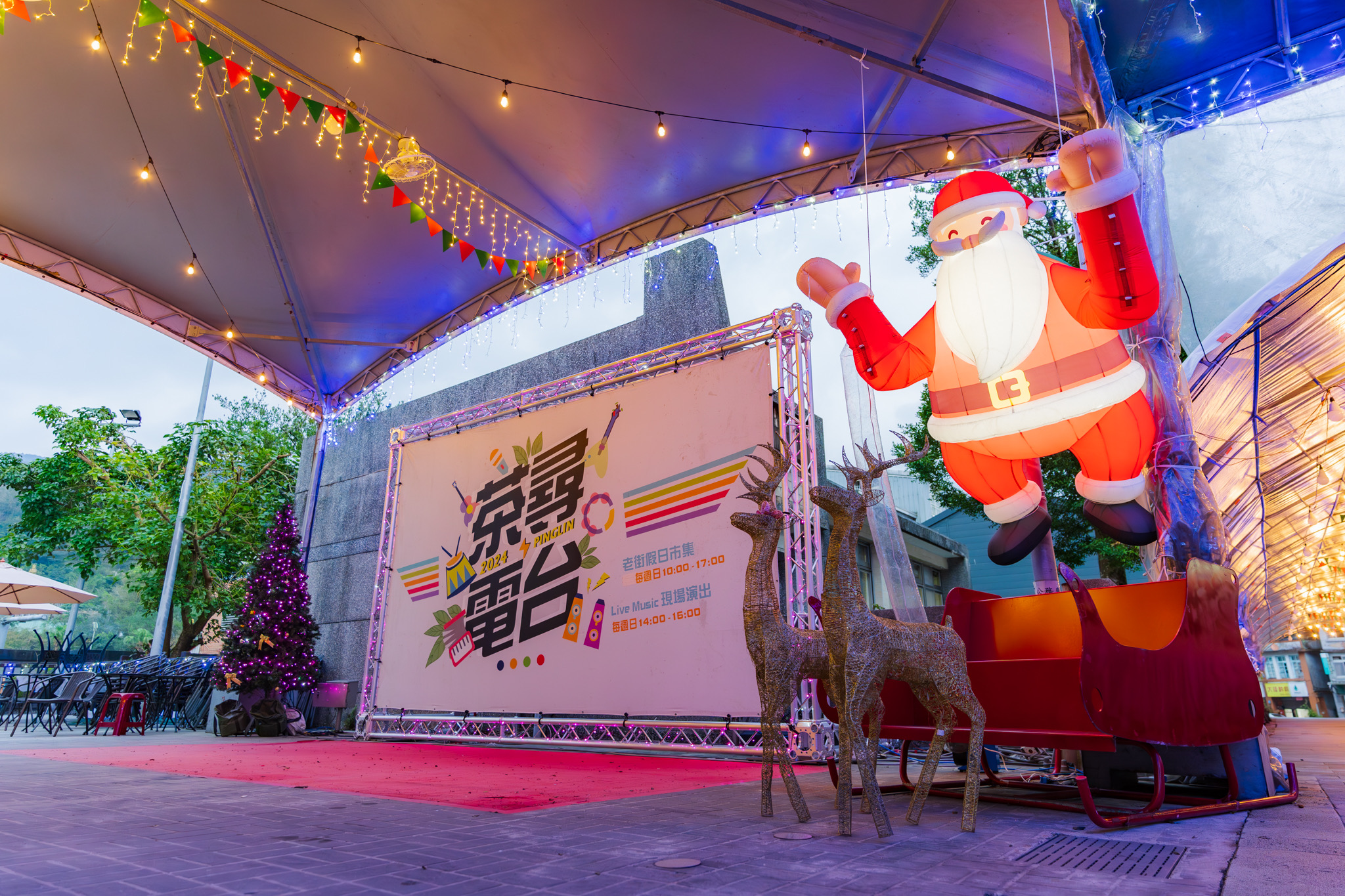 體驗茶鄉熱情 坪林《耶誕音樂派對週》假日熱鬧登場