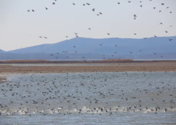 傳承中華優秀文化　薊州非遺知多少