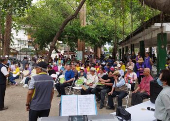 世界健康日推廣全民喝茶　台灣茶協會喚起傳統奉茶人情味