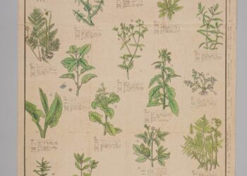 臺史博5/17-18全民免費  講座工作坊、展演活動全攻略