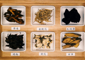 青春痘不宜過度清潔　中醫「清熱解毒」有效改善