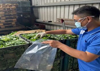 雲林縣端午應景食品全面抽驗 檢驗結果均合格