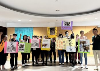 為受虐浪浪申冤 台南市議員曾之婕要求嚴辦