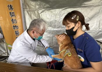 歡度母親節   秀傳寵物市集   免費健檢疫苗施打一次滿足