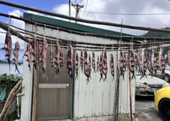 踏上蘭嶼 探索雅美(達悟)族飛魚祭(季)的神秘魅力