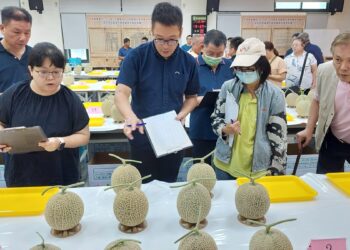 影音/第二屆網紋洋香瓜果品評鑑競賽  縣府力挺農業升級 展現地方農業實力