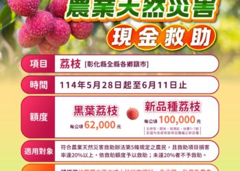 彰化荔枝受損符合天然災害現金救助標準 呼籲符合規定農民向公所申報