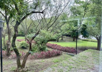 汐止湖興市民活動中心啟用     劉和然讚「最美活動中心」     隱身森林綠意盎然