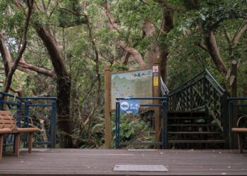 新北近郊最美流域漫旅,碧潭風景區享受自然步道、絢爛水舞秀