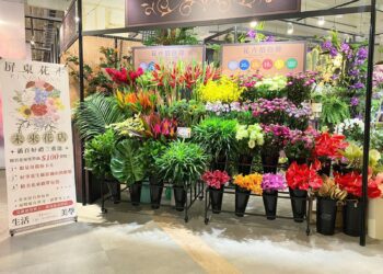 母親節花卉生活美學展 賞花購花傳遞感恩