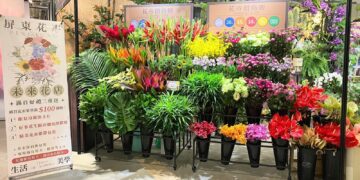 母親節花卉生活美學展 賞花購花傳遞感恩