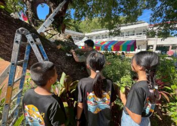 生物多樣性國際日 臺東產官學合作保育極危植物「白花蝴蝶蘭」