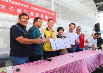 中海拔山葵復育轉型 帶動阿里山部落產業升級