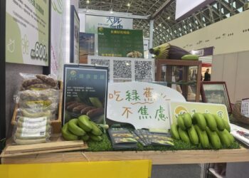 芒果迎夏~蕉點成雙 農饗樂市集熱鬧迎端午