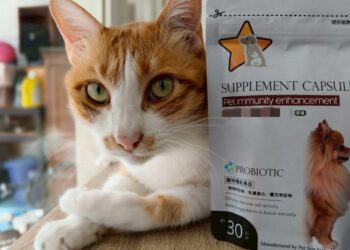 守護毛孩健康從日常開始  「寵星」打造平價優質寵物保健品