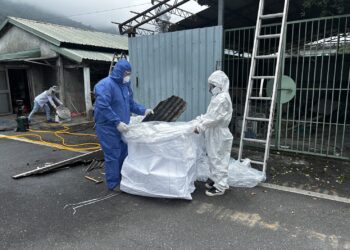 花蓮免費清運石綿 省荷包遠離石綿害
