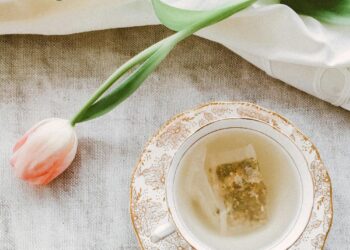 冷泡茶正夯!花茶、紅茶、烏龍怎麼泡最甘醇?炎夏清爽喝茶全攻略