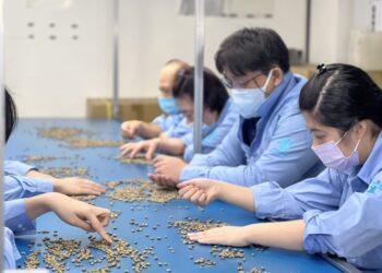 「樸樹咖啡」萬華店-用時間萃出一杯好咖啡！漫遊歷史街後，來品嚐一杯好咖啡