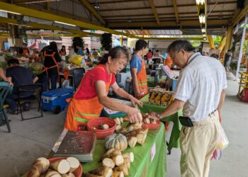 新北綠竹筍雙料冠軍誕生     6/28台北希望廣場展售會     限量冠軍筍等你搶