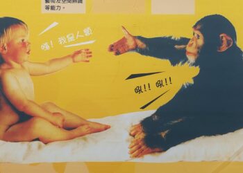 影音/「腦的美麗境界」腦科學教育巡迴展   市立圖書館自6月5日至6月29日止