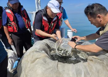 配合世界海洋日 金門縣政府水試所放流魚苗16萬尾