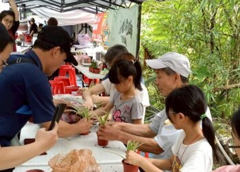 「2025烏來馬告小農市集」熱鬧登場!結合泡湯住宿驚喜優惠 夏日烏來旅遊再抽大獎