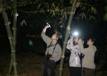 嘉義市立博物館推《來嘉找蛙生態營》 歡迎國小學童踴躍報名