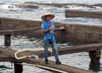 推動生態旅遊   走讀東北角貢寮河海