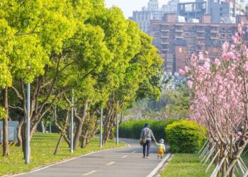 北台門戶地段一位難求「杭特立」插旗經國市心珍稀區位