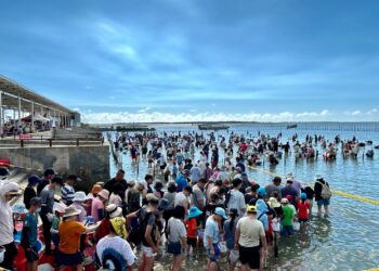 2025臺南七股海鮮節 挖文蛤體驗、揪團遊七GO最後名額搶購中