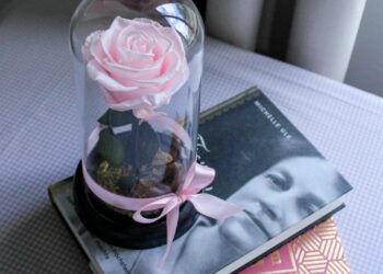 花語不只是浪漫,還藏著祝福密碼!節慶與人生重要時刻的送花建議