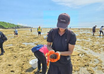 屏東縣政府啟動海膽移除行動 逆轉海洋生態危機