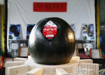 北海道黑皮「田助西瓜」首拍最高價70萬日元約新台幣15萬元
