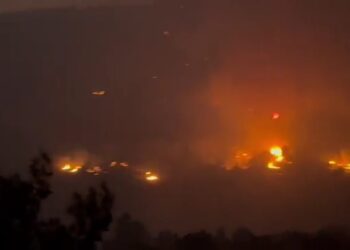 影音/土耳其西部大規模山火 強風阻礙了救援