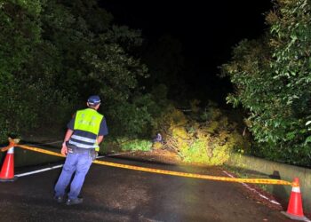 深夜路樹倒塌防礙通行 里港分局三地警雨中助村民下山