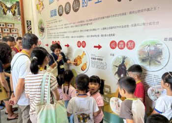 2025卦山尋仙趣社頭系列活動開跑  帶領大小朋友認識神秘可愛甲蟲周邊生態