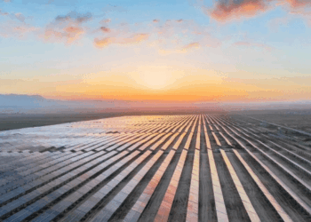 影音/美國AI電力面臨不足敲警鐘 中國太陽能發電量將超過美國所有電力總和