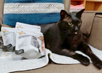 守護毛孩健康!寵物保健成趨勢  「寵星」推星級飼料