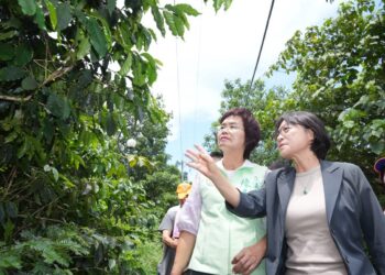 疣胸琉璃蟻影響民眾生活甚劇  立委陳素月要求跨部會進行系統性調查與防治