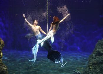 23家花蓮觀光業者串聯拚觀光熱潮 遠雄海洋公園與日本鳥羽水族館結盟