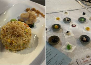 2025世廚賽大放異彩 聖母醫專師生奪1特金3金4銀2銅