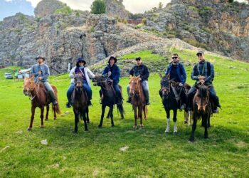 臺灣軟實力再現蒙古國，慈心種樹英雄獲贈蒙古馬　前進聯合國世界遺產鄂爾渾河谷國家公園，種下7,000棵原生樹苗