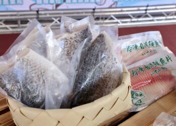 台灣鯛首批外銷新加坡封櫃啟運 為漁民開拓多元國際市場