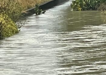 影音/南部連日大雨釀災 蘇清泉急赴新園鄉應變