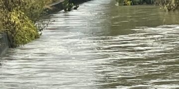 影音/南部連日大雨釀災 蘇清泉急赴新園鄉應變