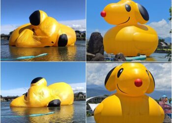 影音/童玩節開幕首日 史努比鴨消風?! 原來為了防颱才……